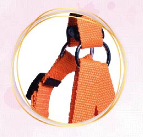 Classic Step in Harness