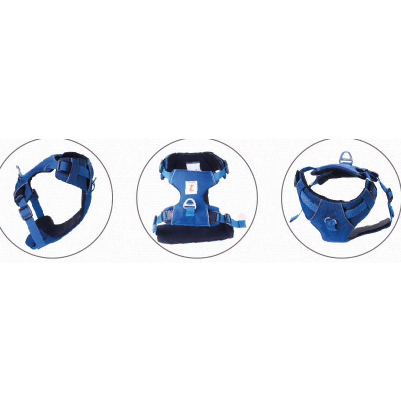 Double Chest Harness