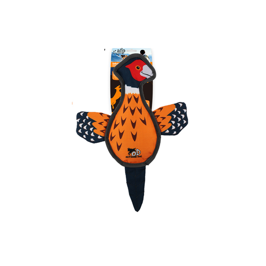 OUTDOOR-BALISTIC PHEASANT
