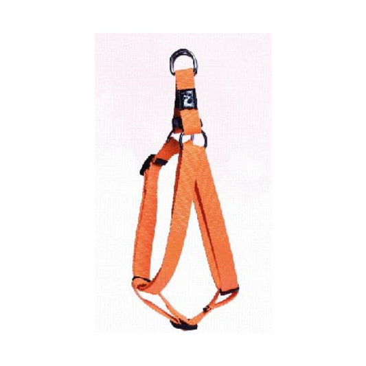 Classic Step in Harness