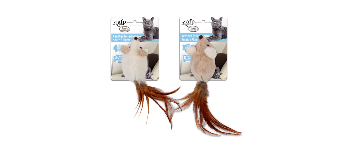 FEATHER TAILED MOUSE