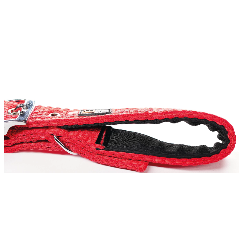 Regular Collars