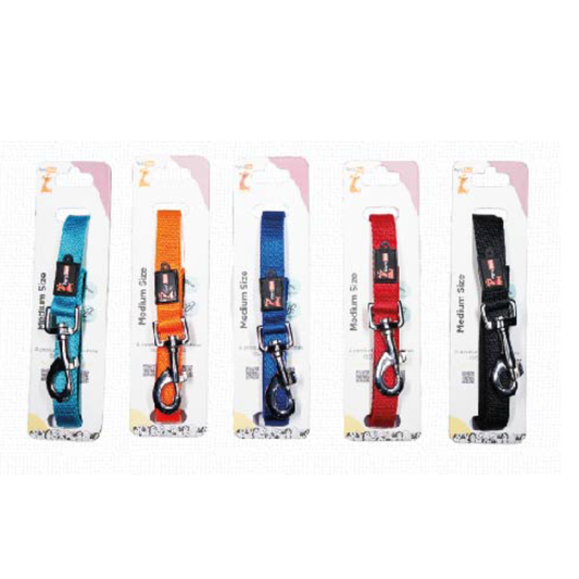 Splendor Series Leash