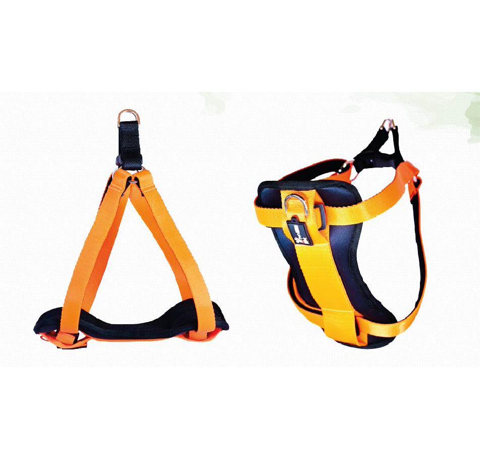 Comfort Padded Harness