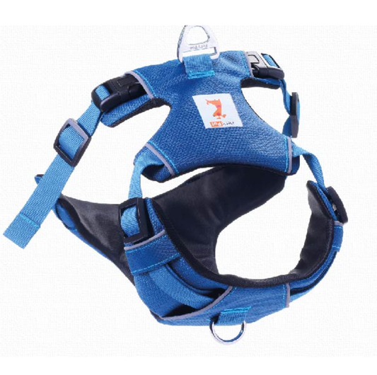 Double Chest Harness