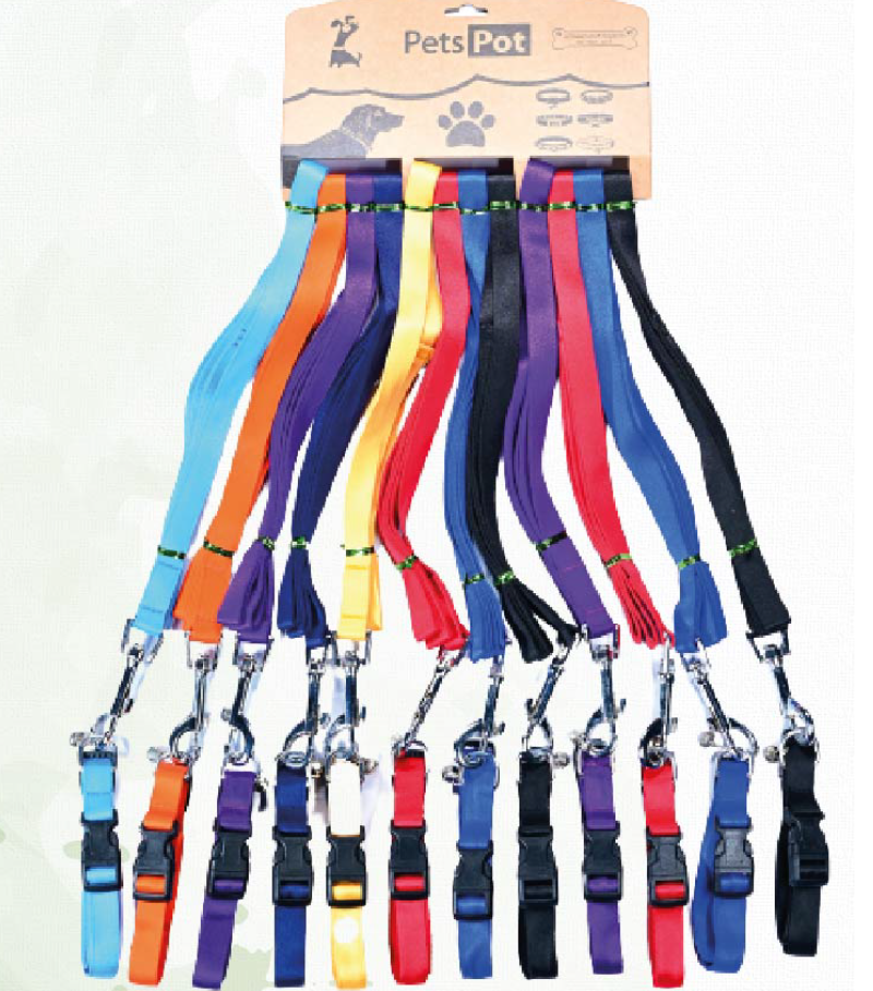 Economic Series Collar & Leash Set