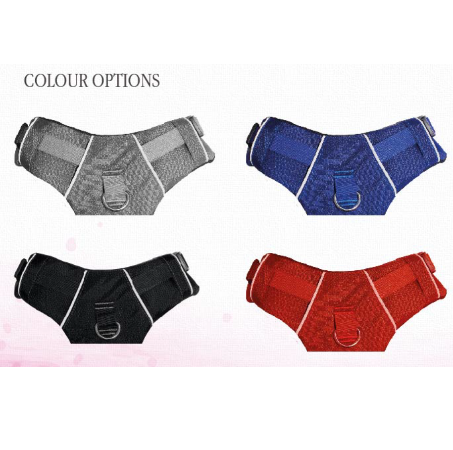 Double Chest Harness