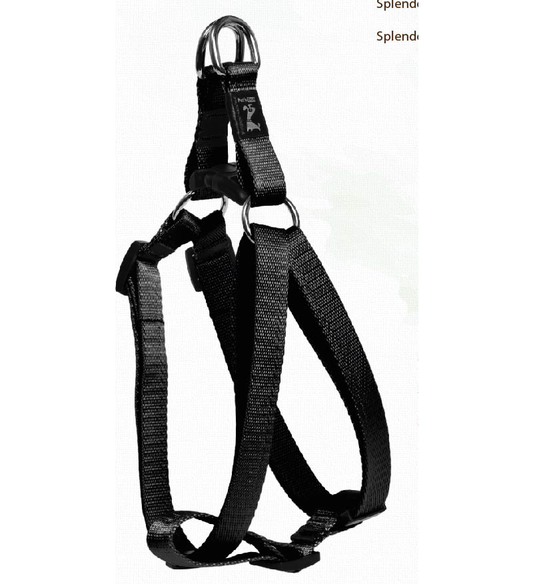 Splendor Series Step In Harness